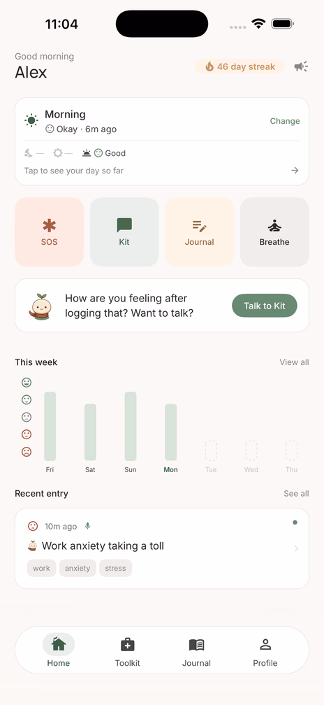 Anxiety Kit home screen with streak, mood and quick actions.